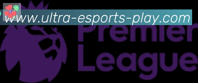 DOTA比分合作伙伴